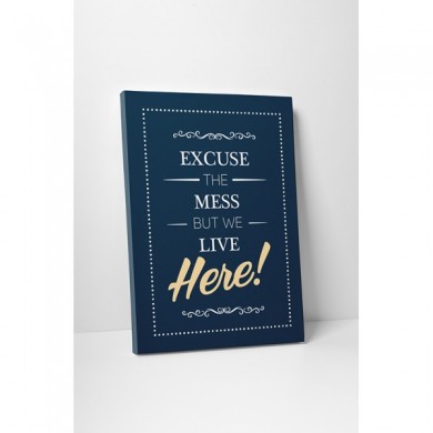 tablou canvas, imprimari, excuse the mess